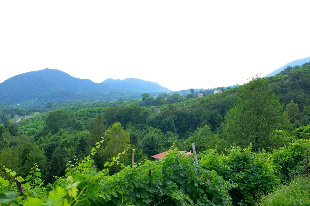 B&B Casa Di Campagna Miane Rom bilde