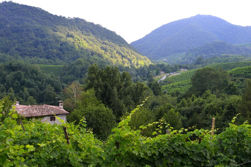 B&B Casa Di Campagna Miane Rom bilde